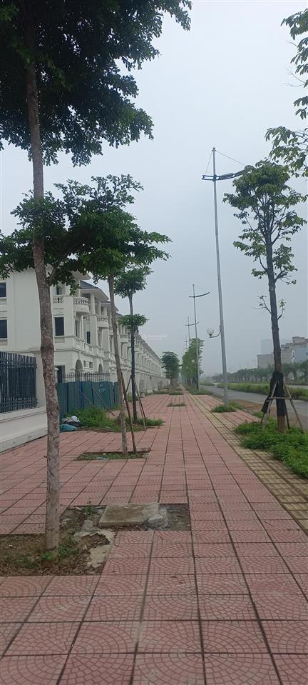 Bán biệt thự vườn cam dt 200m2 giá 130tr/m2