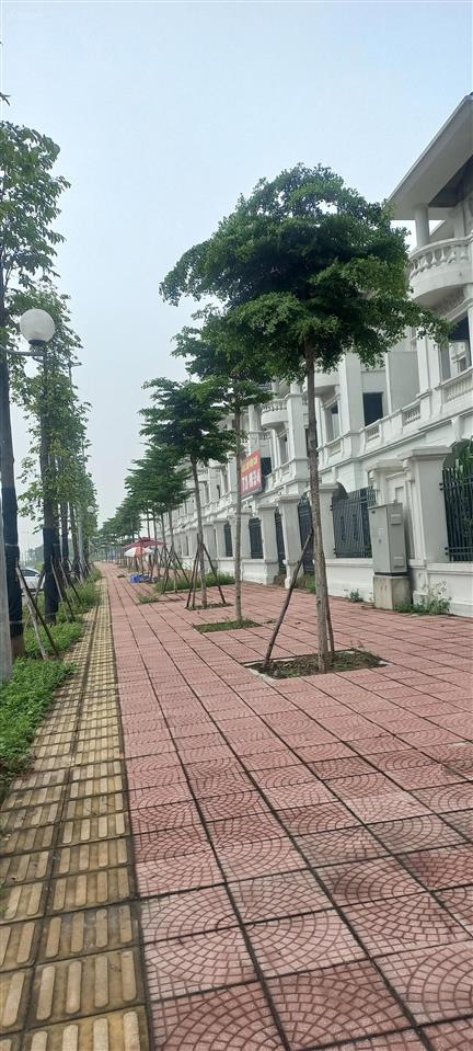 Bán biệt thự vườn cam dt 200m2 giá 130tr/m2