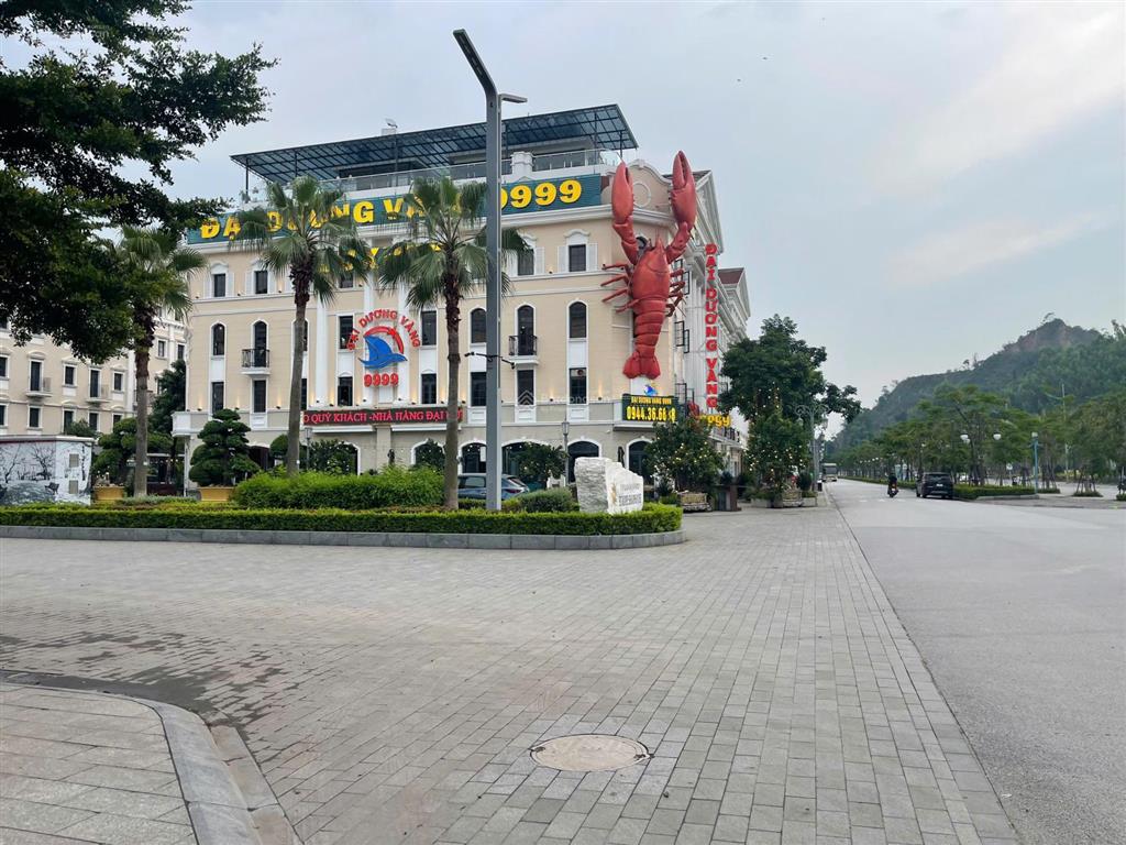 Cần bán gấp căn shophouse mặt đường hạ long, lô góc 2 mặt tiền vị trí trung tâm bãi cháy 0969 993 ***