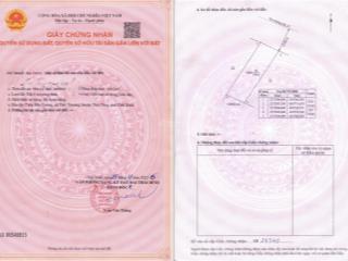 Chính chủ bán lô đất 196m2 tại thôn bắc cường, xã thái thượng, thái thụy, thái bình. 0989 334 ***