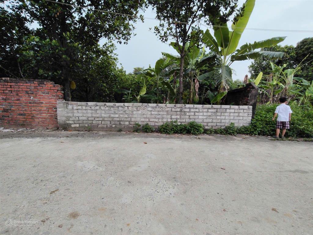 A384 117m² tân xã. mảnh đất sinh ra để xây trọ dòng tiền tại hòa lạc