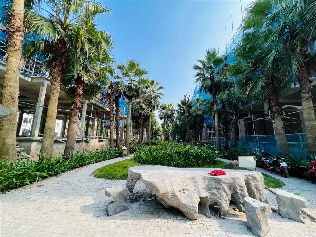 Chính chủ cần bán cắt lỗ biệt thự siêu đẹp louis city hoàng mai, giá hấp dẫn, giao dịch nhanh