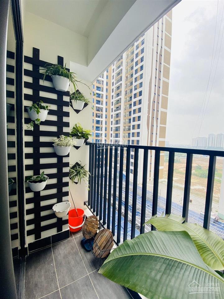 Cho thuê căn hộ chung cư cao cấp 26 liễu giai full 0944 040 ***