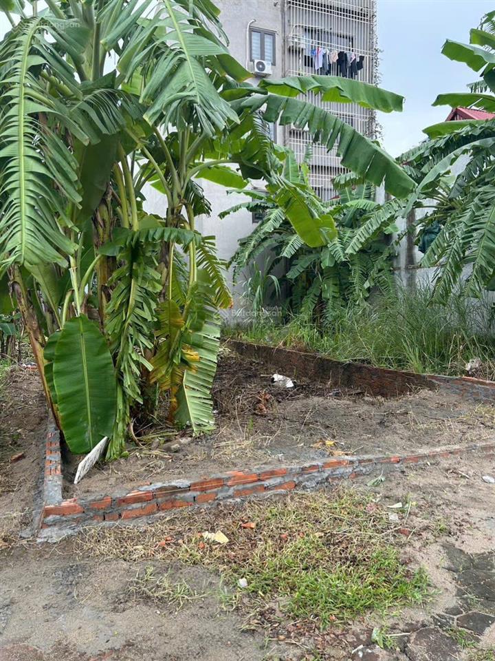 Tôi cần bán ô đg1015 đấu giá trũng lai xá, diện tích 72,5m2 có khe thoáng phía sau