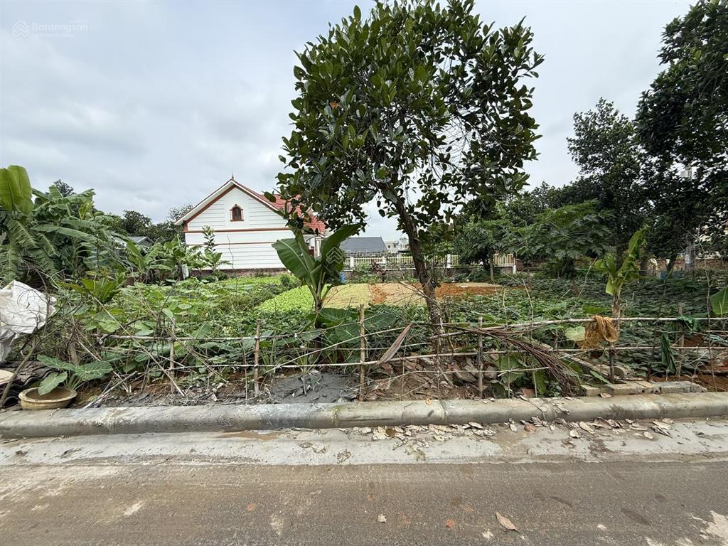 100m2 full thổ cư mặt tiền 6.4m giá chỉ 4 tỷ!