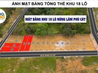 Bán lô đất tái định cư vai réo phú cát gần khu cnc hòa lạc giá chỉ 45tr/m2