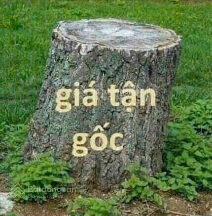 Biệt thự đơn lập lideco sống cao cấp, đầu tư giá trị, vị trí đẹp, thiết kế mới 2025