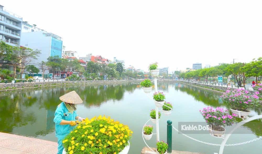 Cho thuê tòa căn hộ trịnh công sơn  tây hồ  hà nội 0981 222 ***