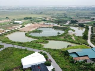 Bán đất đô thị sổ đỏ lâu dài 300m2đường 15.5m kđt cienco5, mê linh, hà nội