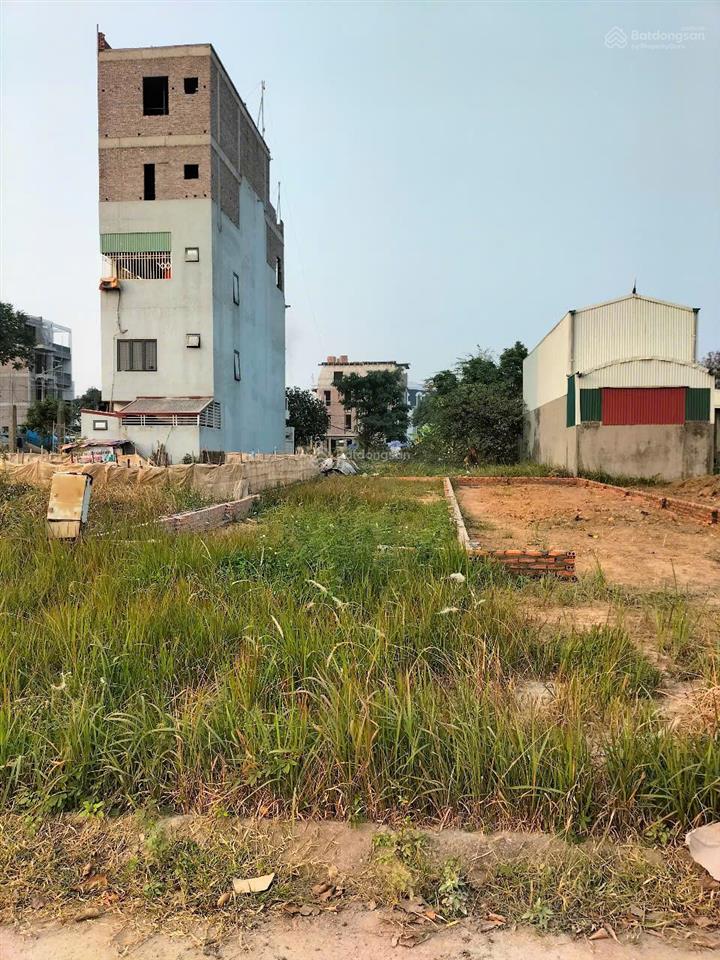 Hàng hiếm nhất 100m2 đường trục chính 24m kđt cienco5 mê linh  sổ đỏ lâu dài