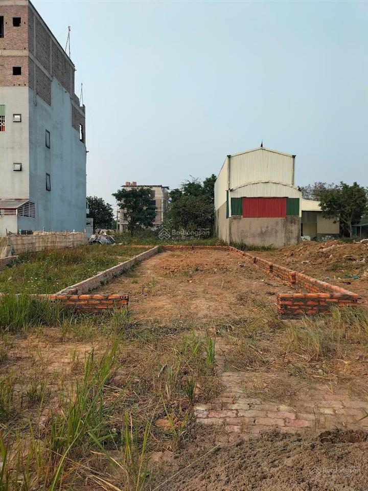 Hàng hiếm nhất 100m2 đường trục chính 24m kđt cienco5 mê linh  sổ đỏ lâu dài