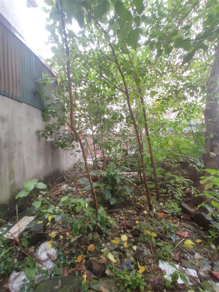 Bán đất tên tôi sát vành đai 4, gần mầm non, ủy ban, dân trí cao, 3,9 tỷ, 38 m2