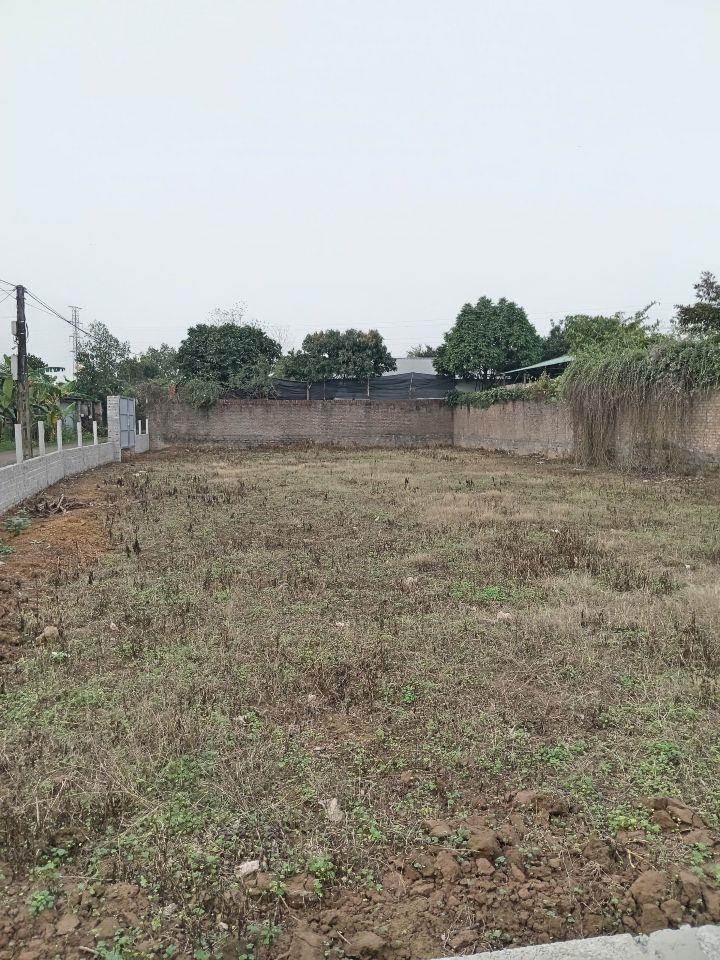 Bán 620m2 lô góc đất 50 năm Sài Sơn _ Quốc Oai, chỉ 4.55 triệu/m2