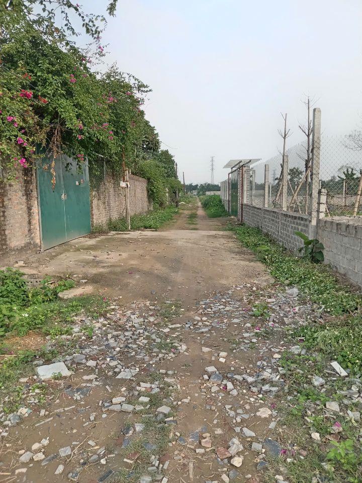 Bán 620m2 lô góc đất 50 năm Sài Sơn _ Quốc Oai, chỉ 4.55 triệu/m2