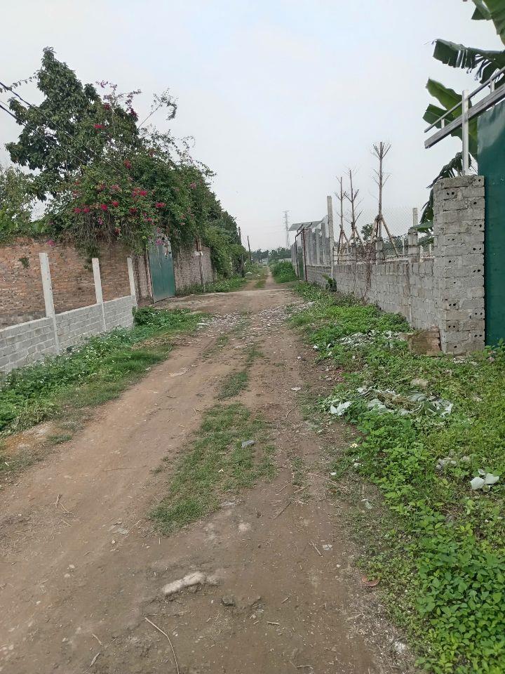 Bán 620m2 lô góc đất 50 năm Sài Sơn _ Quốc Oai, chỉ 4.55 triệu/m2