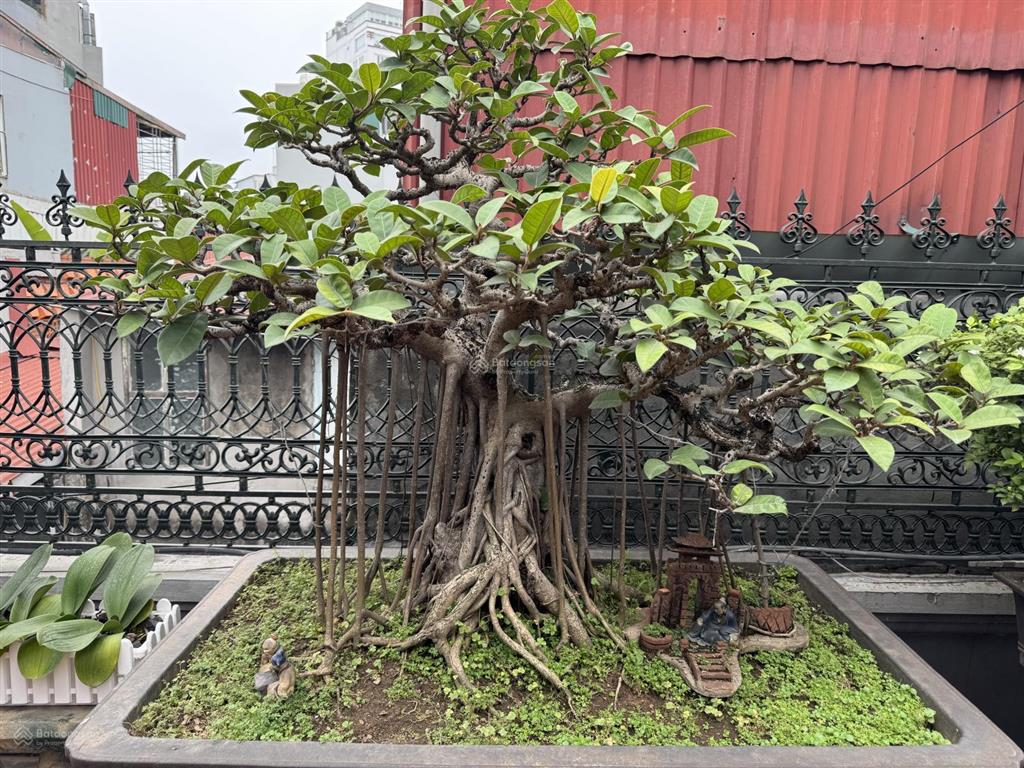 Bán nhà mặt phố bùi thị xuân, dt 402m², mt 18,2m, xây 3 tầng, giá 800tr/m2