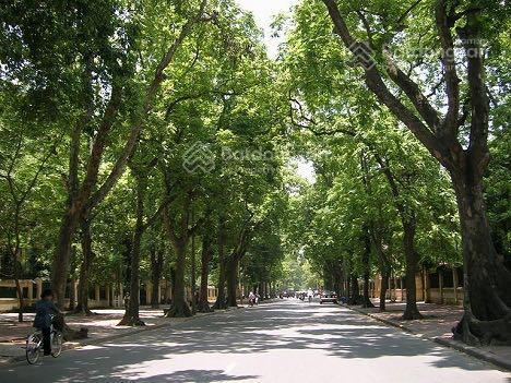 Cho thuê nhà mặt phố nguyễn du, dt 530m2, mt 12m, xây 2 tầng