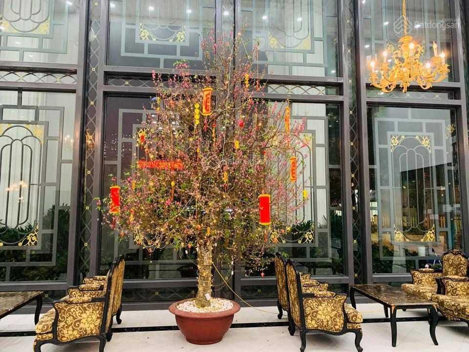 Cập nhật căn hộ the emerald bán tháng 9/2026 mình là cư dân sống ở đây căn e2.11.4, không chào ảo
