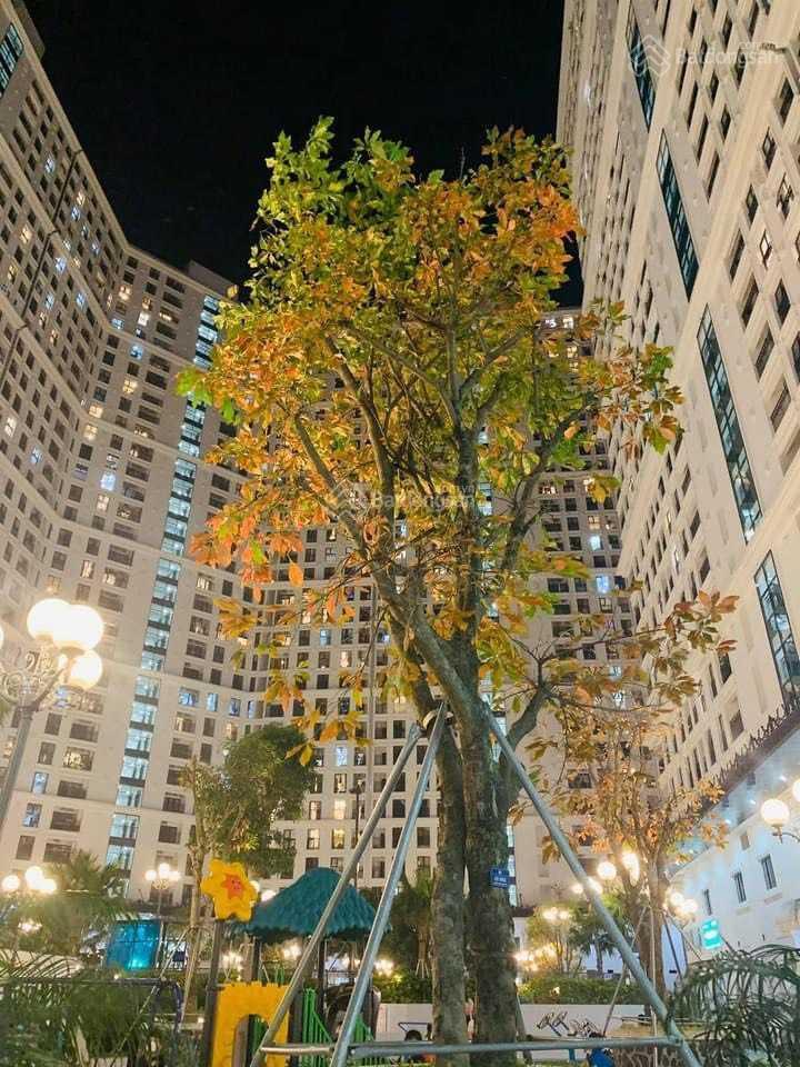 Cập nhật căn hộ the emerald bán tháng 9/2026 mình là cư dân sống ở đây căn e2.11.4, không chào ảo