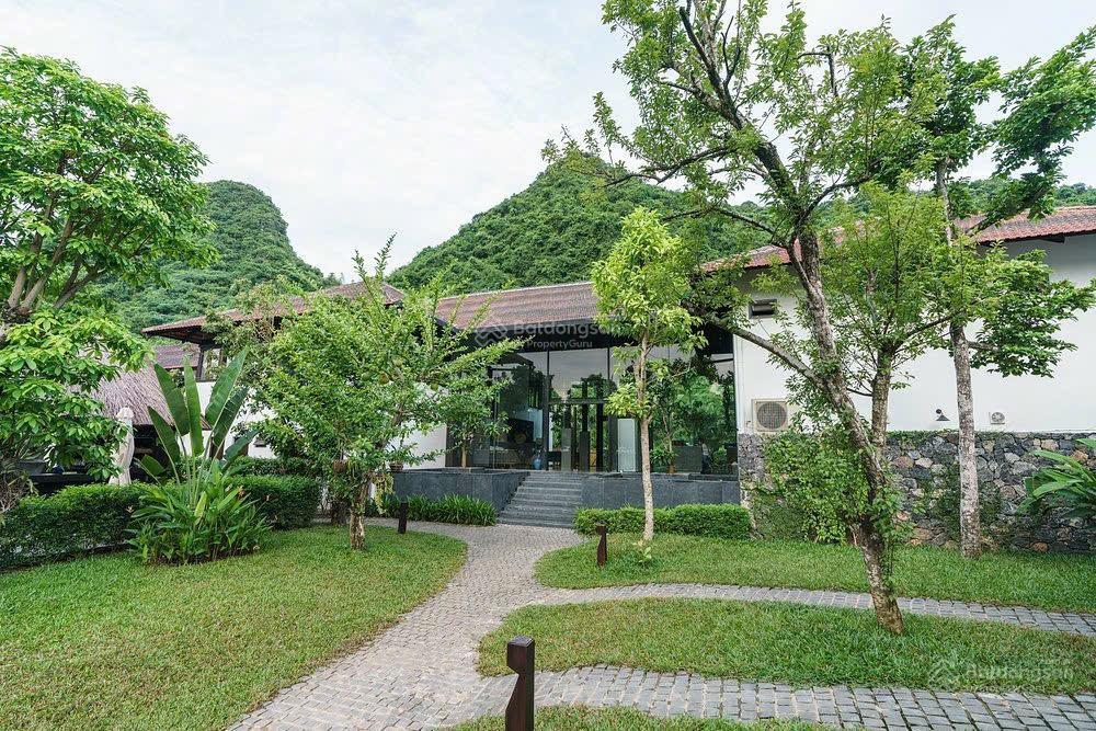 Siêu phẩm resort homestay thung nham quỹ đất 1ha 31 phòng vip doanh thu 2,4 tỷ/tháng