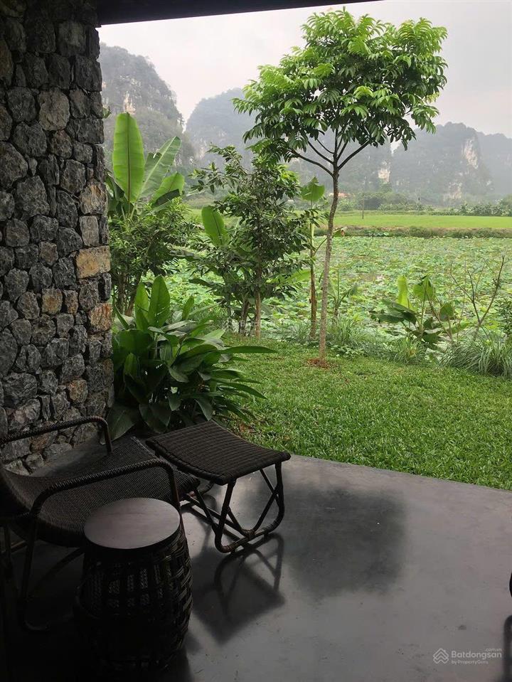 Siêu phẩm resort homestay thung nham quỹ đất 1ha 31 phòng vip doanh thu 2,4 tỷ/tháng