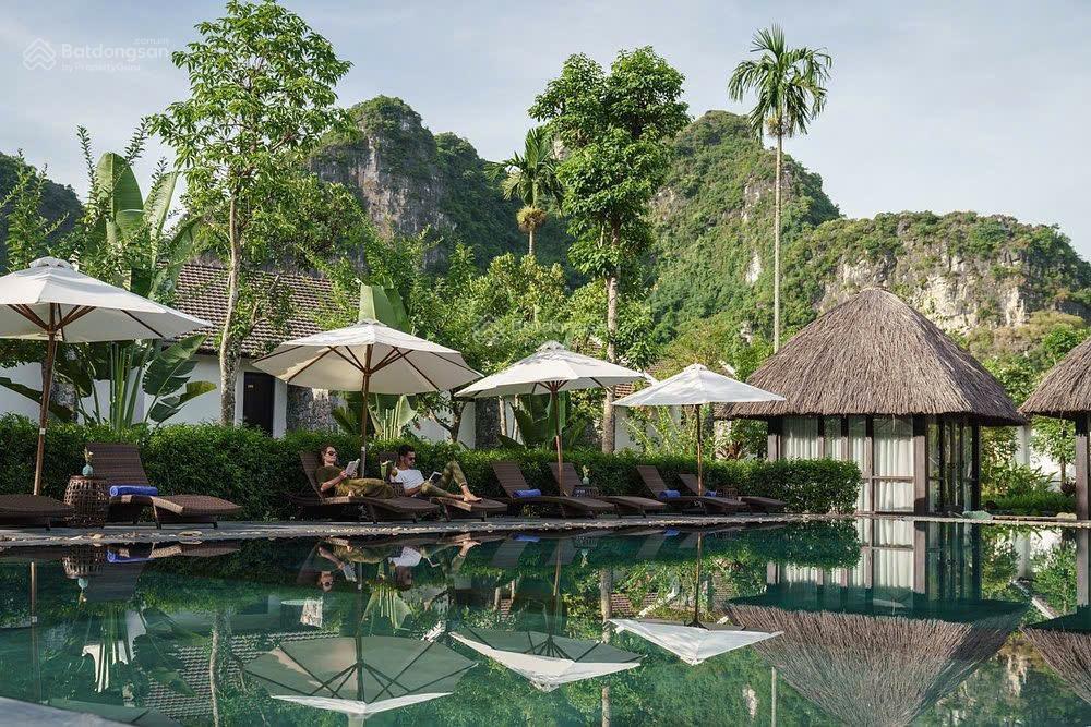 Siêu phẩm resort homestay thung nham quỹ đất 1ha 31 phòng vip doanh thu 2,4 tỷ/tháng