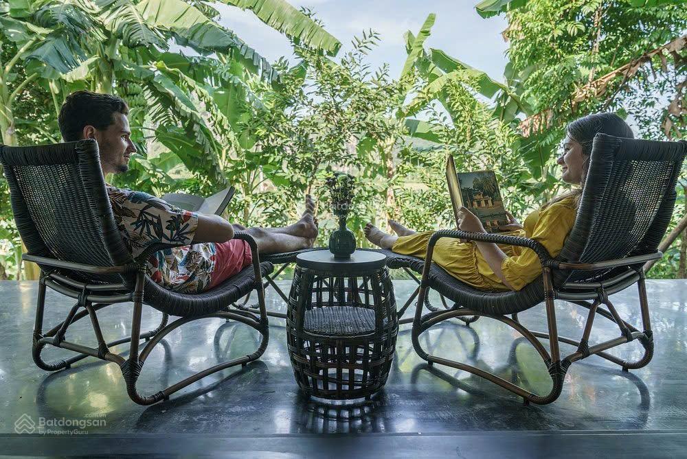 Siêu phẩm resort homestay thung nham quỹ đất 1ha 31 phòng vip doanh thu 2,4 tỷ/tháng