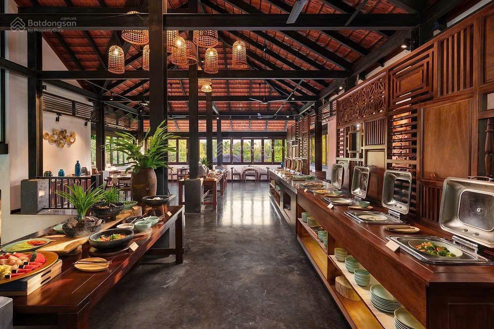 Siêu phẩm resort homestay thung nham quỹ đất 1ha 31 phòng vip doanh thu 2,4 tỷ/tháng