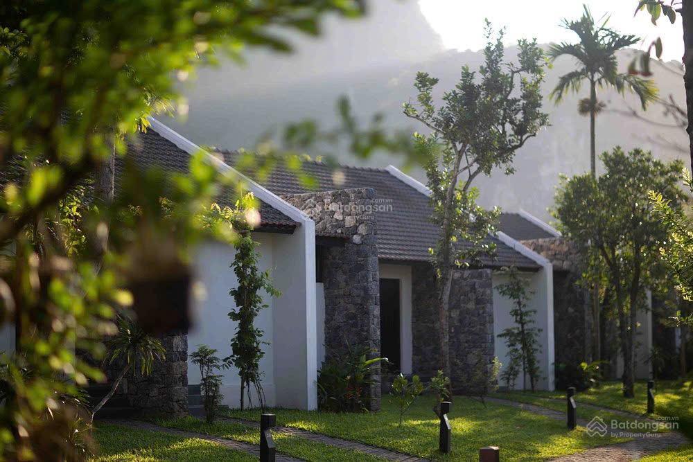 Siêu phẩm resort homestay thung nham quỹ đất 1ha 31 phòng vip doanh thu 2,4 tỷ/tháng