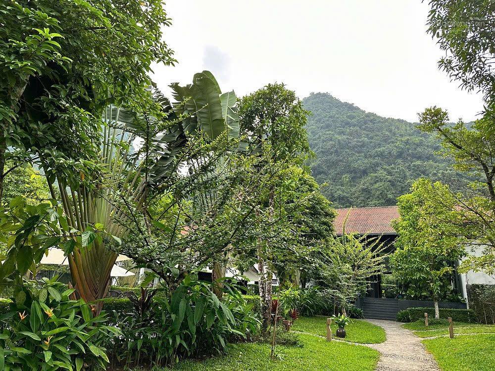 Siêu phẩm resort homestay thung nham quỹ đất 1ha 31 phòng vip doanh thu 2,4 tỷ/tháng
