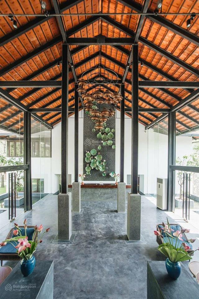 Siêu phẩm resort homestay thung nham quỹ đất 1ha 31 phòng vip doanh thu 2,4 tỷ/tháng