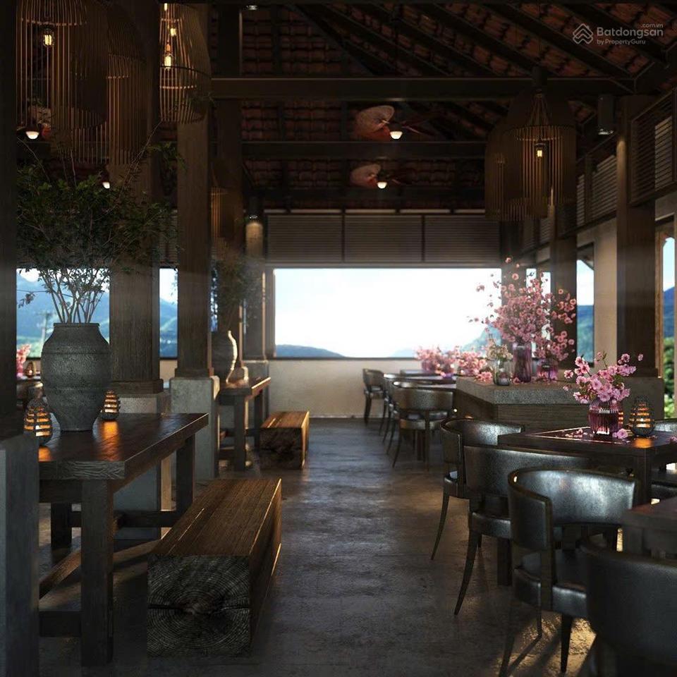 Siêu phẩm resort homestay thung nham quỹ đất 1ha 31 phòng vip doanh thu 2,4 tỷ/tháng