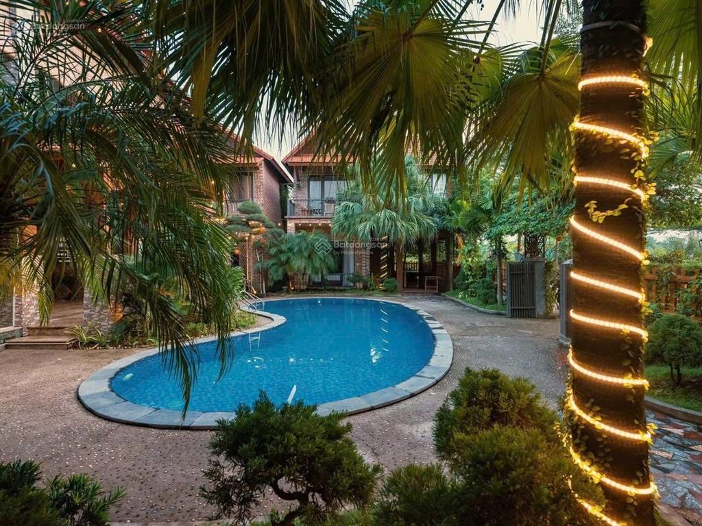 Siêu phẩm homestay trung tâm tam cốc quỹ đất lớn, dòng tiền khủng, tiềm năng mở rộng cực mạnh