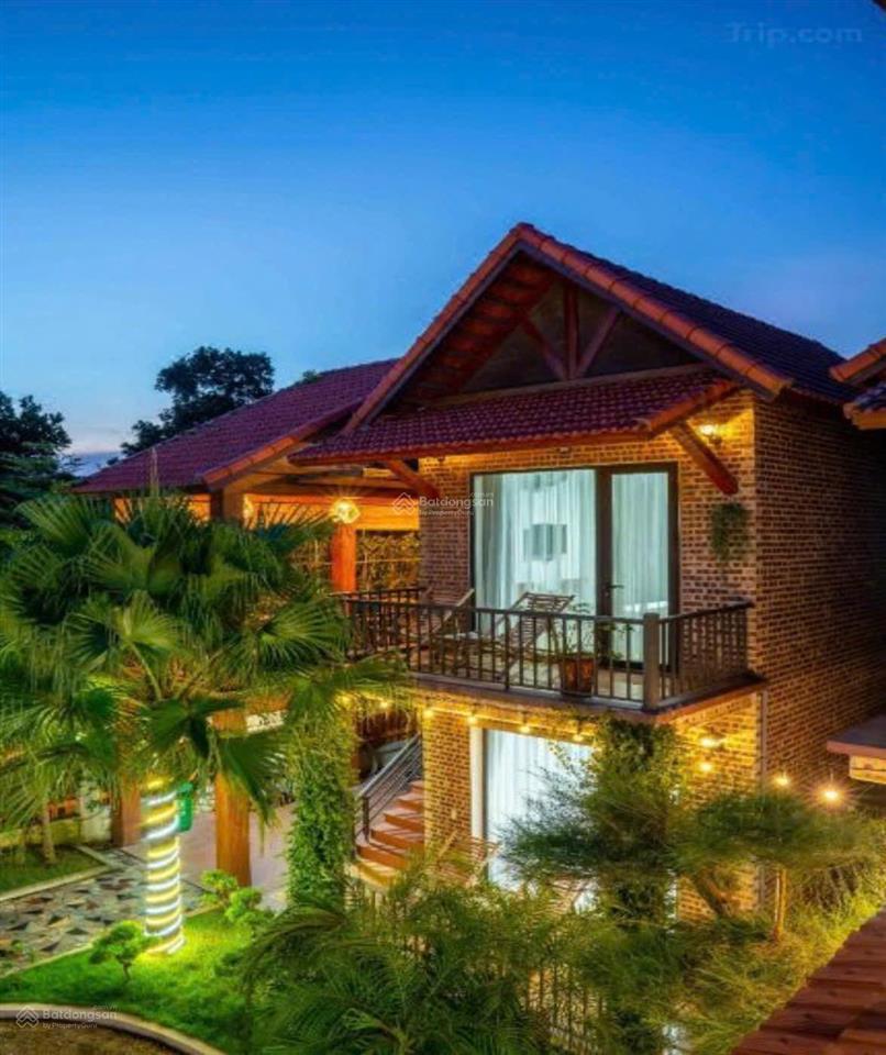 Siêu phẩm homestay trung tâm tam cốc quỹ đất lớn, dòng tiền khủng, tiềm năng mở rộng cực mạnh