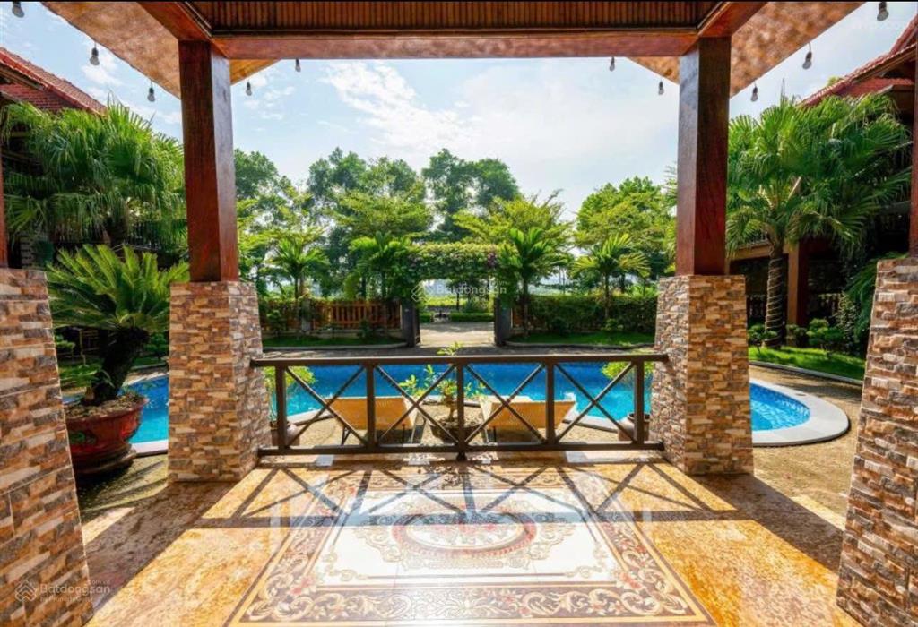 Siêu phẩm homestay trung tâm tam cốc quỹ đất lớn, dòng tiền khủng, tiềm năng mở rộng cực mạnh