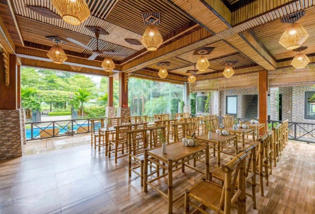 Siêu phẩm homestay trung tâm tam cốc quỹ đất lớn, dòng tiền khủng, tiềm năng mở rộng cực mạnh