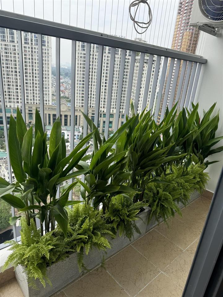 Bán căn hộ toà xuân mai, dt 73m2, 2pn, 2vs, view thoáng.  kiều thuý 0949 170 ***
