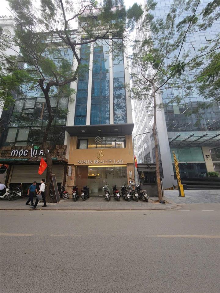 Cc cho thuê nhà mặt phố 35 lê văn thiêm 60m2 mặt tiền 6.25m xây 8 tầng mới giá 75tr/tháng