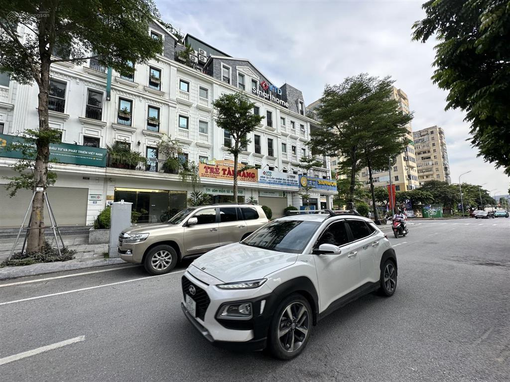 Giá đầu tư shophouse phố nguyễn chánh quanh 60 tỷ 114m2 mặt tiền 6m xây 5 tầng đang cho thuê cao