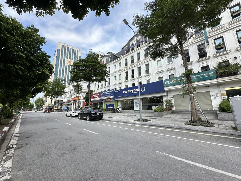 Giá đầu tư shophouse phố nguyễn chánh quanh 60 tỷ 114m2 mặt tiền 6m xây 5 tầng đang cho thuê cao