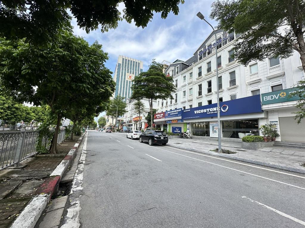 Giá đầu tư shophouse phố nguyễn chánh quanh 60 tỷ 114m2 mặt tiền 6m xây 5 tầng đang cho thuê cao