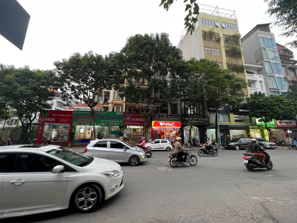 Bán gấp nhà phố trần quốc hoàn 38 tỷ 95m2 mặt tiền 8,5m xây 7 tầng đường hè 12m 3 ô tô tránh