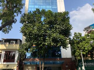 Bán nhà mặt phố vip hai bà trưng, hoàn kiếm 156m2 mặt tiền 6m kèm gpxd 9 tầng