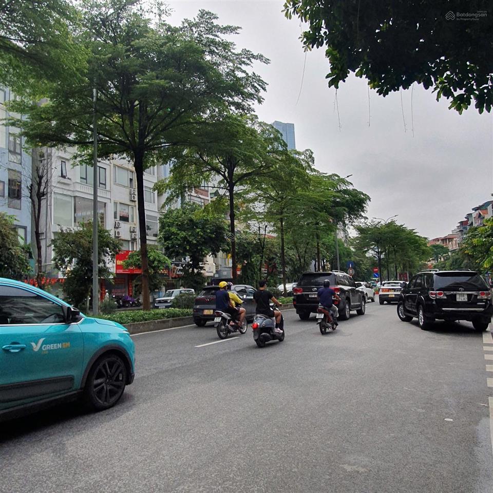 Mặt phố đào tấn (chẵn) mặt tiền 12m sổ vuông làm thương hiệu đỉnh giá 40 tỷ