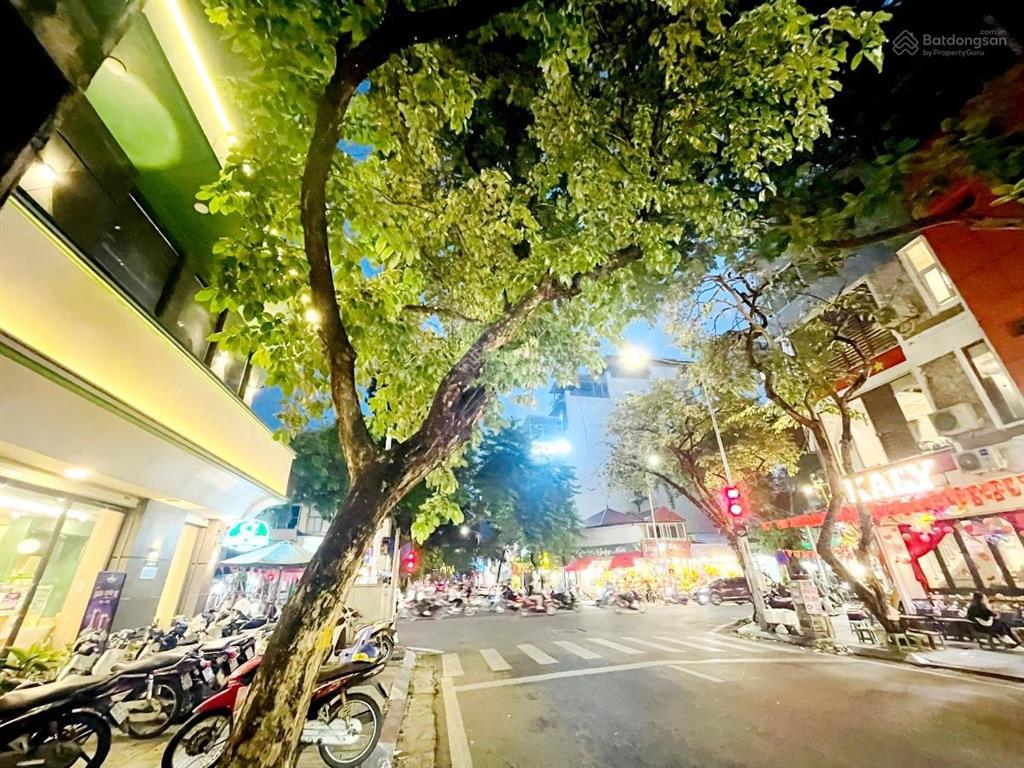 Mặt phố ngô thì nhậm, hai bà trưng 290m2 mt 18m lô góc đẹp dã man