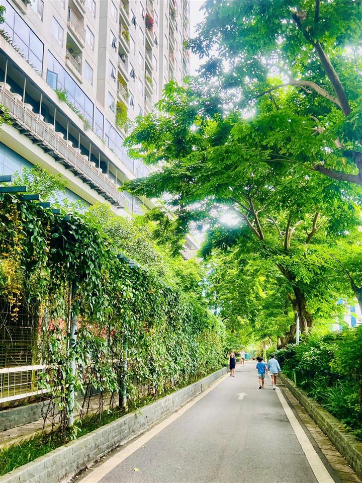 Cho thuê các diện tích toà ecolife tố hữu, 50m2, 74m2, 101m2 giá rẻ