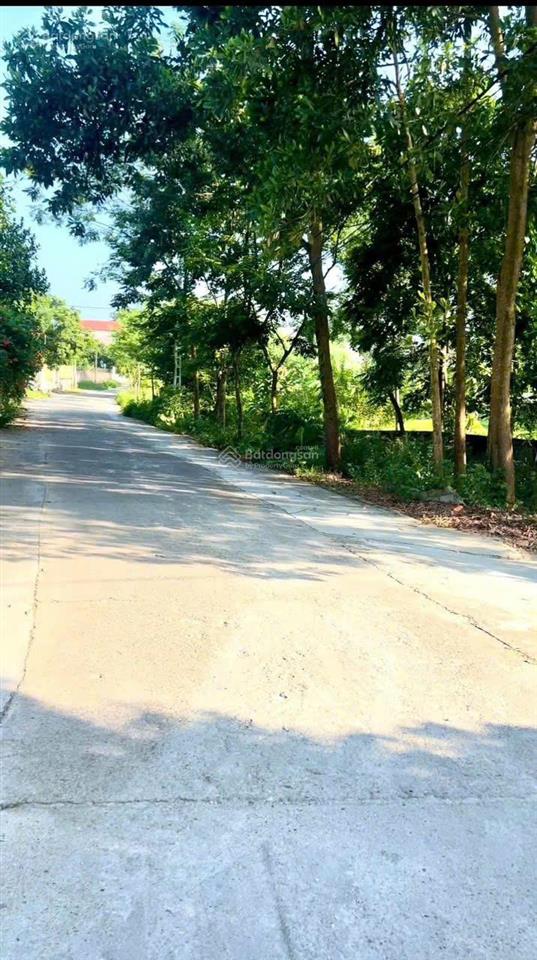 Bán đất danh thắng, hiệp hoà, bắc giang 124m2, mt 6m, nở hậu, ô tô, chỉ 650 triệu