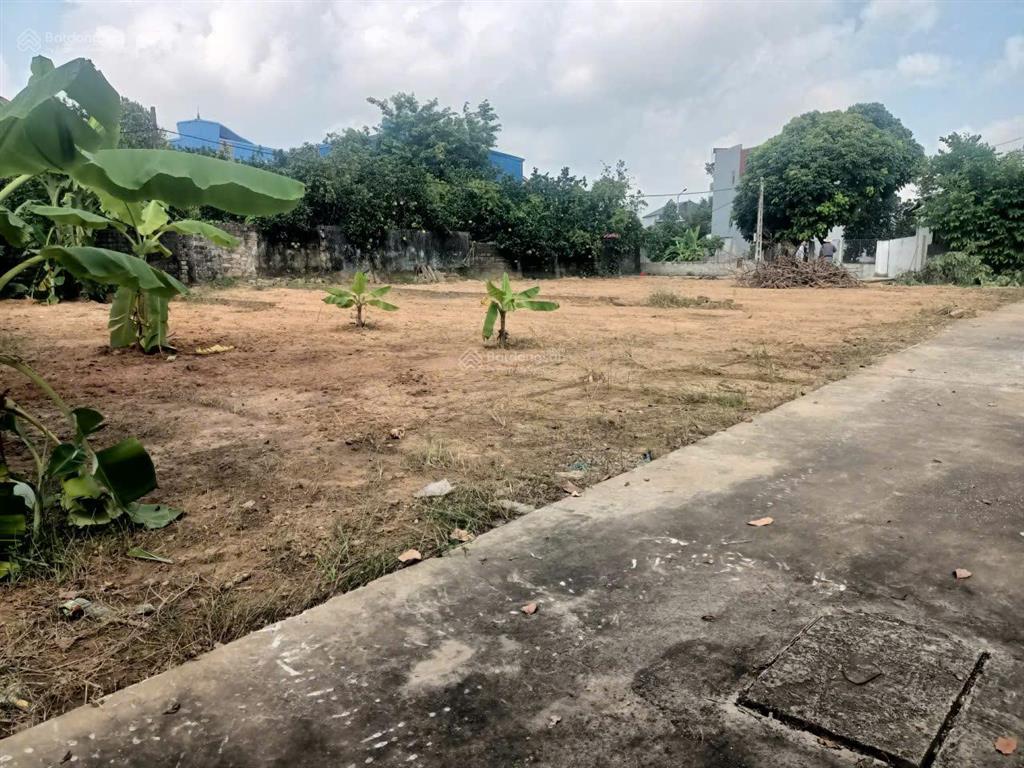 Đất hiệp hòa, bắc giang 104m, ô tô thông, cách tỉnh lộ 295 chỉ 50m, giá 750 triệu