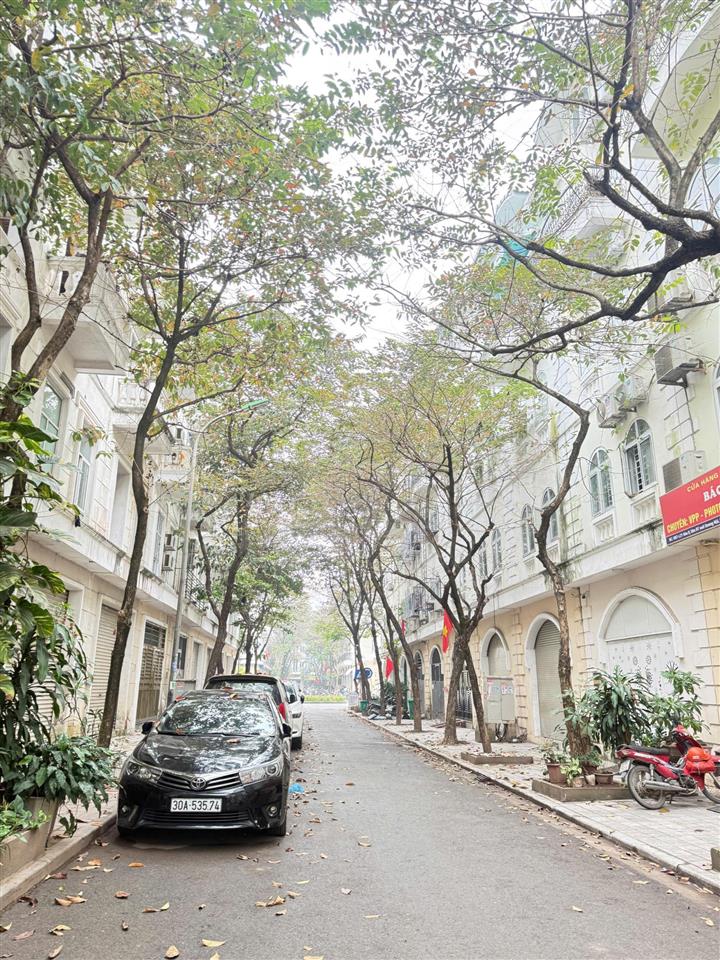 Siêu phẩm liền kề kđt mới dương nội hà đông dt100m giá siêu siêu rẻ 0988 529 ***