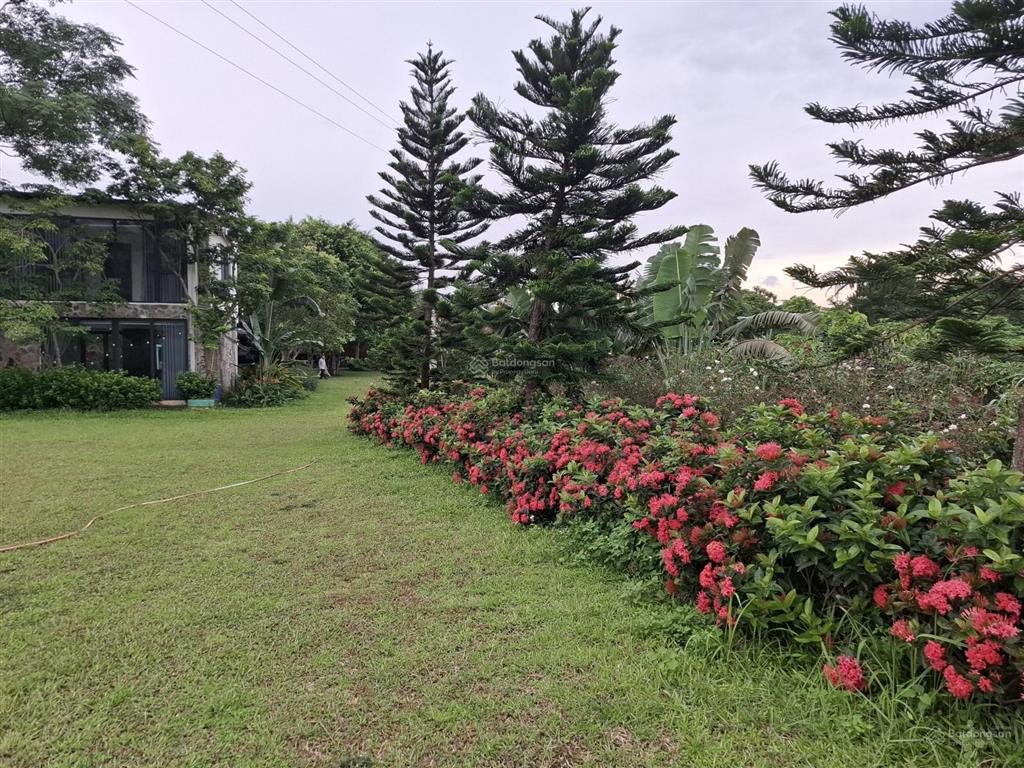 Bán khu nghỉ dưỡng 12.000m2  tuyệt tác giữa thiên nhiên